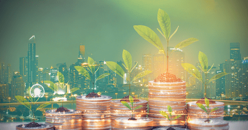 B.D.C. Business Development